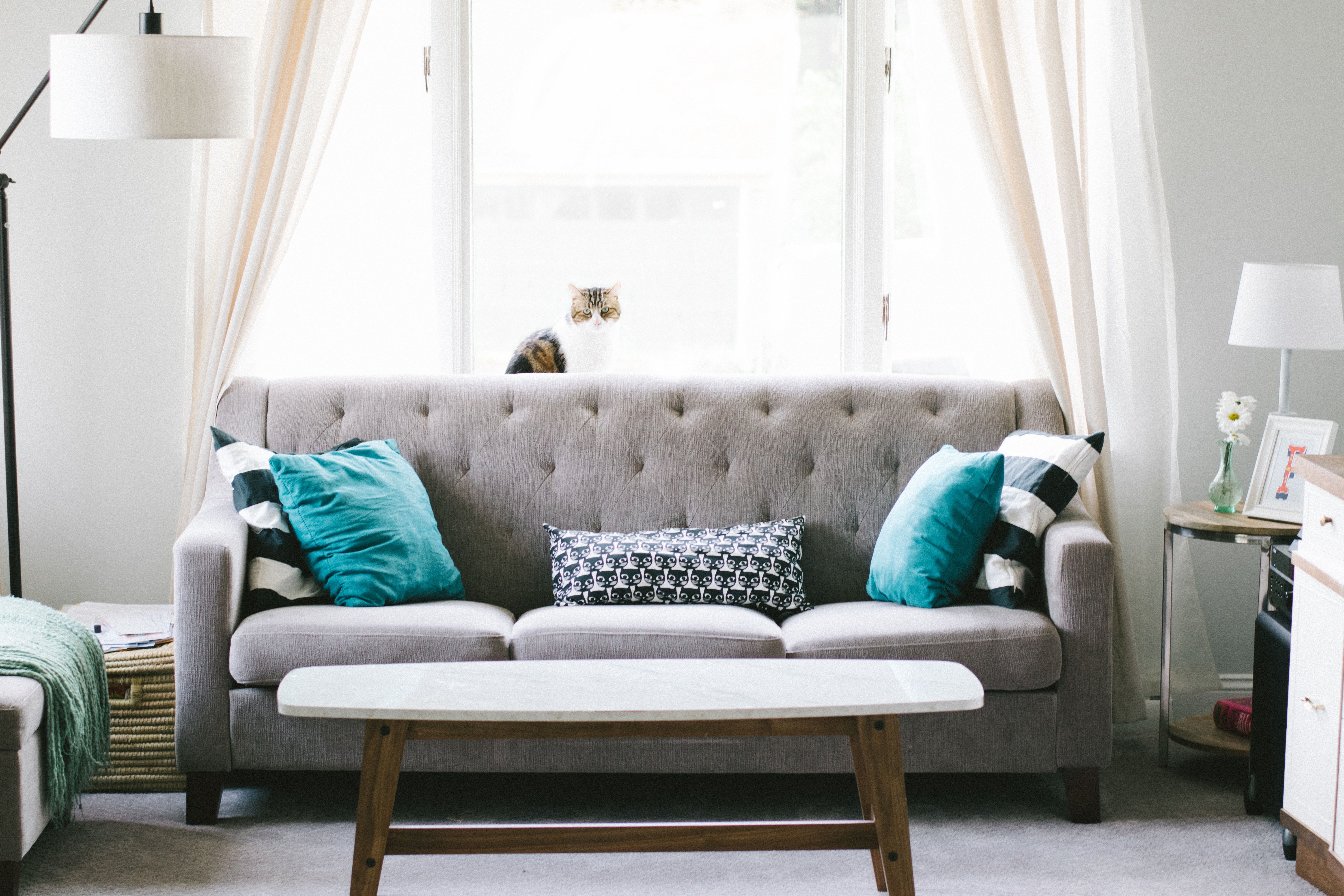 How To Buy Furniture With Poor Store Credit Rating Fair